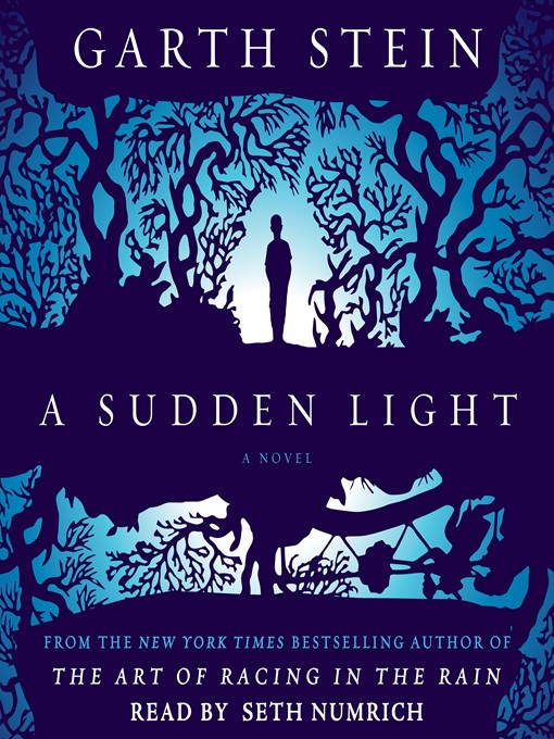Title details for A Sudden Light by Garth Stein - Wait list